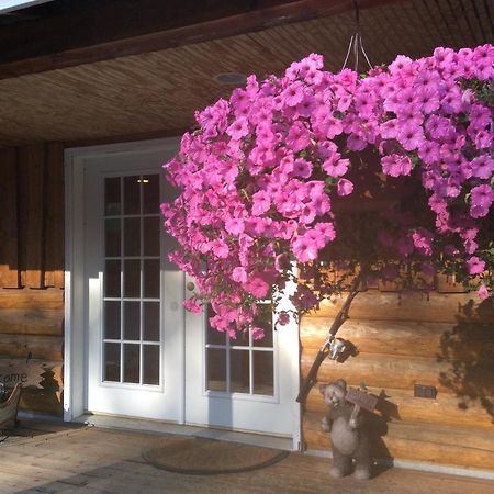Denali Fireside Cabin & Suites Talkeetna Exterior photo